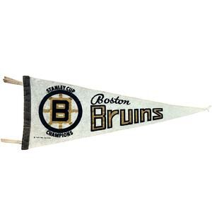 Boston Bruins 1970 NHL Hockey Stanley Cup Champions Pennant